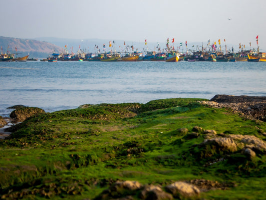 5️⃣ Hidden Tourist Spots in Konkan Maharashtra 🚩