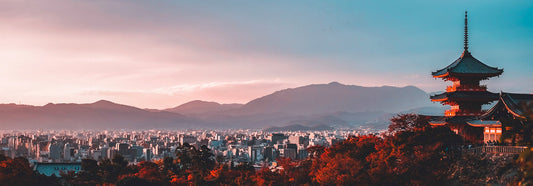๐ Best Countries for Bharatiya Travelers!