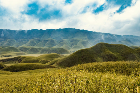 6๏ธโฃ Green Getaways in Far East Bharat for a Refreshing Eco-Vacation ๐
