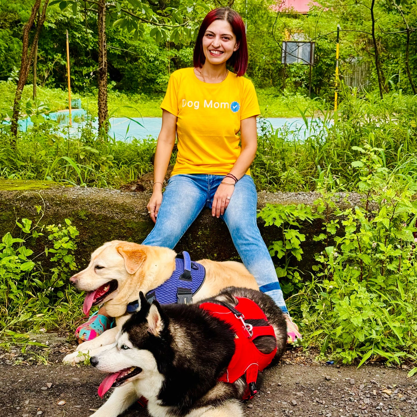 Verified Dog Parents T-shirt Combo