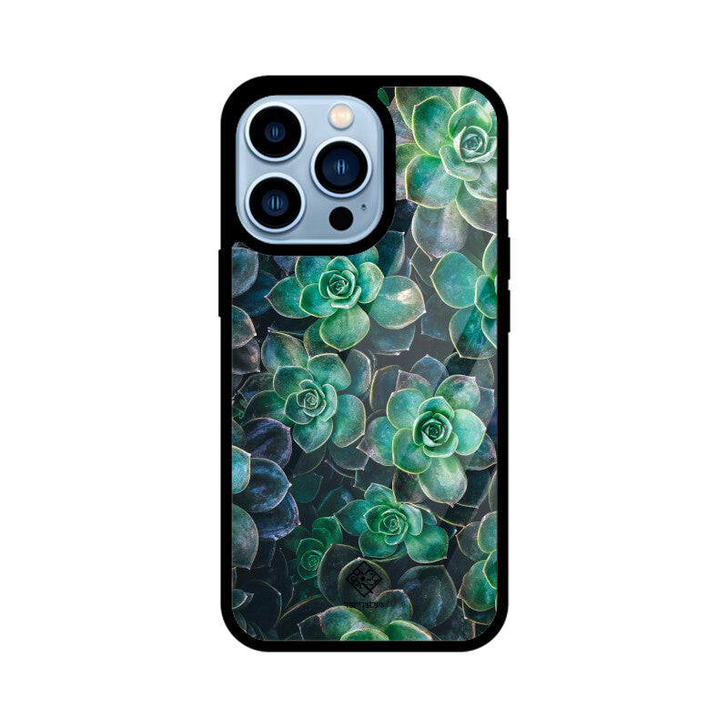 Succulent Spirit