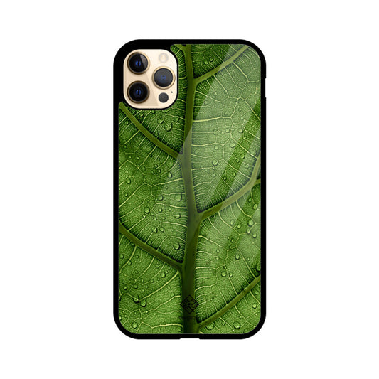 Dewy Delight iPhone Case