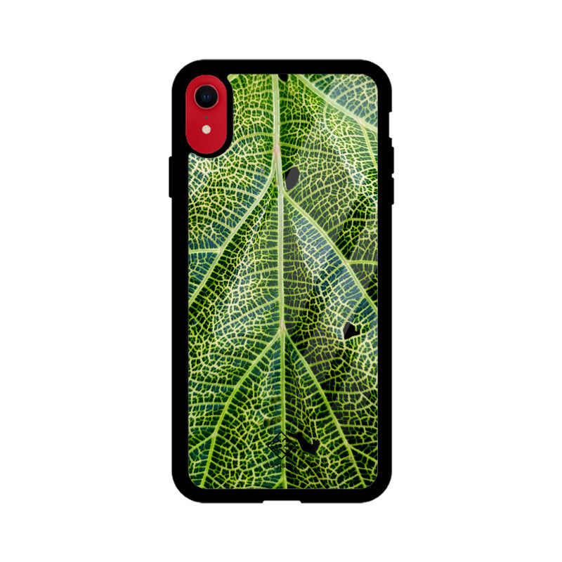 Leafy Lifeline