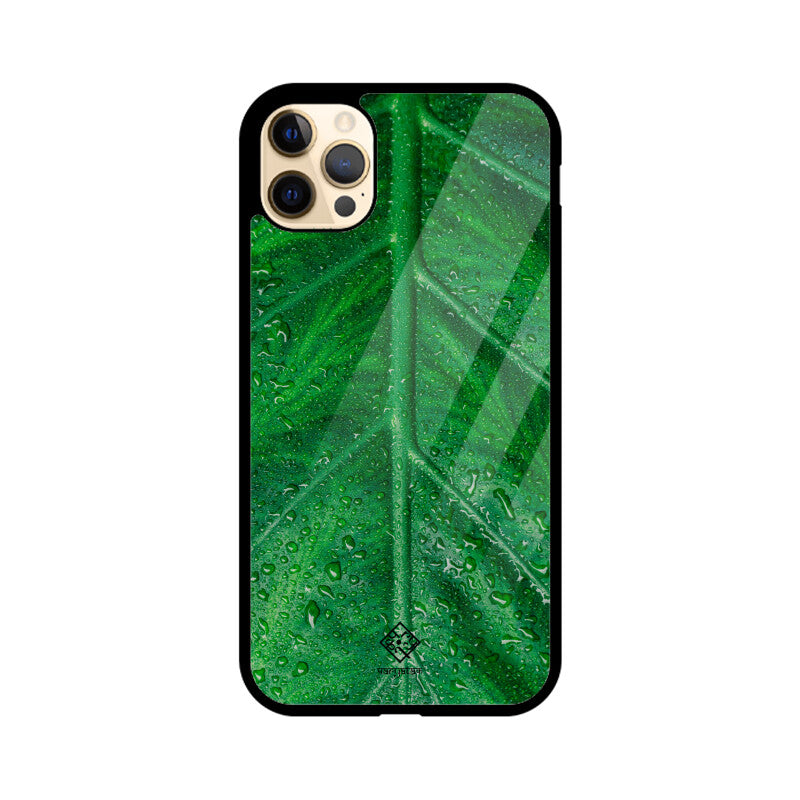 Fresh Foliage