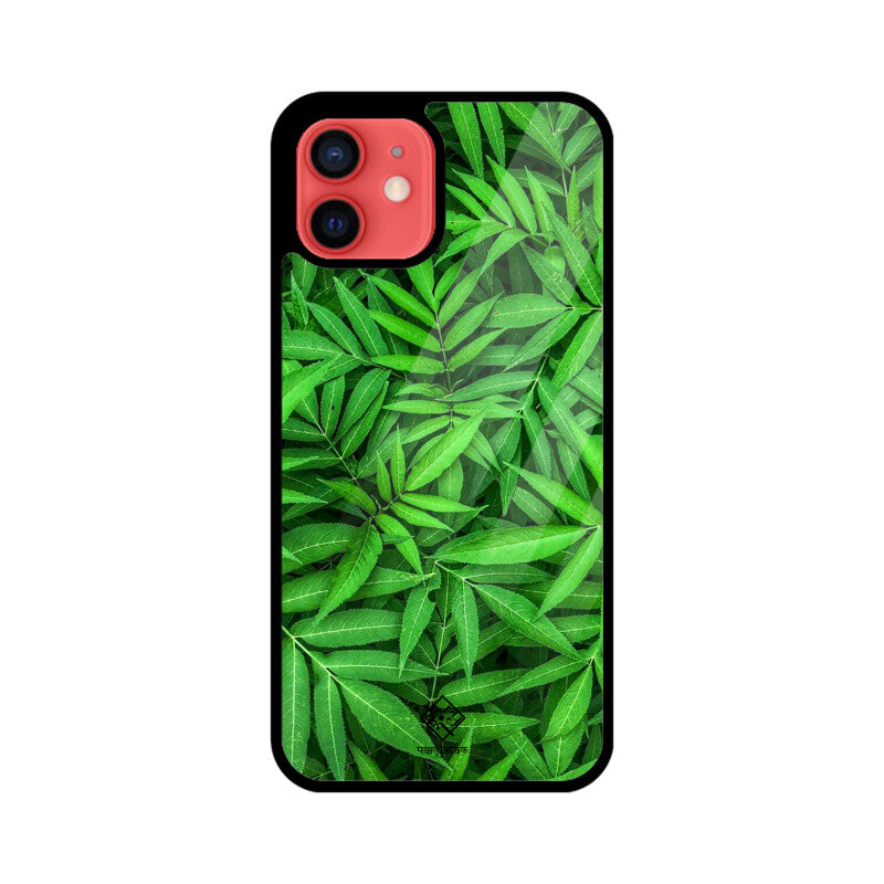 Evergreen Embrace
