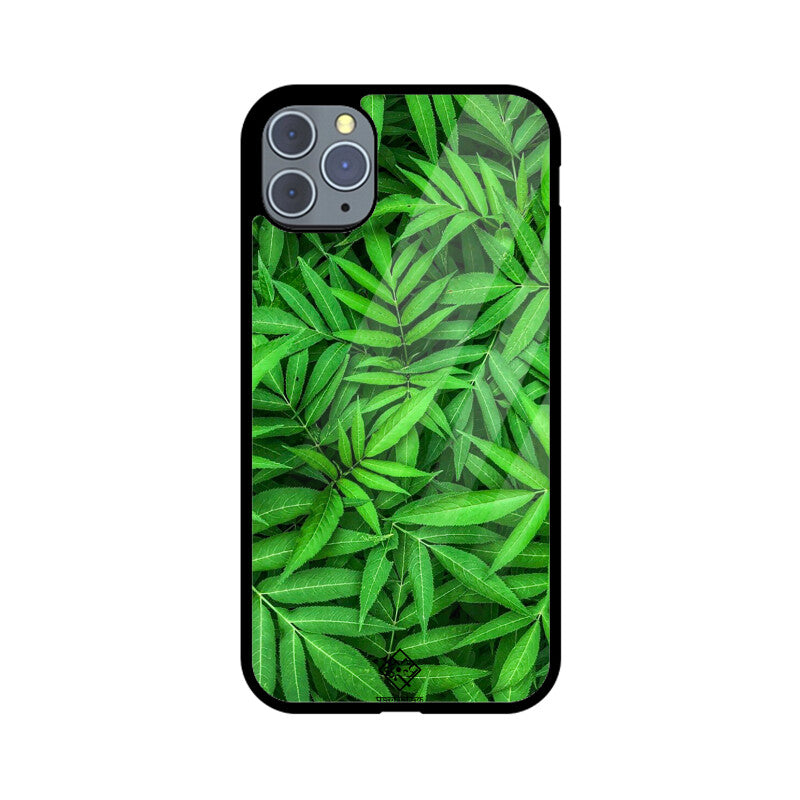 Evergreen Embrace