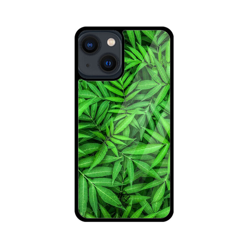 Evergreen Embrace