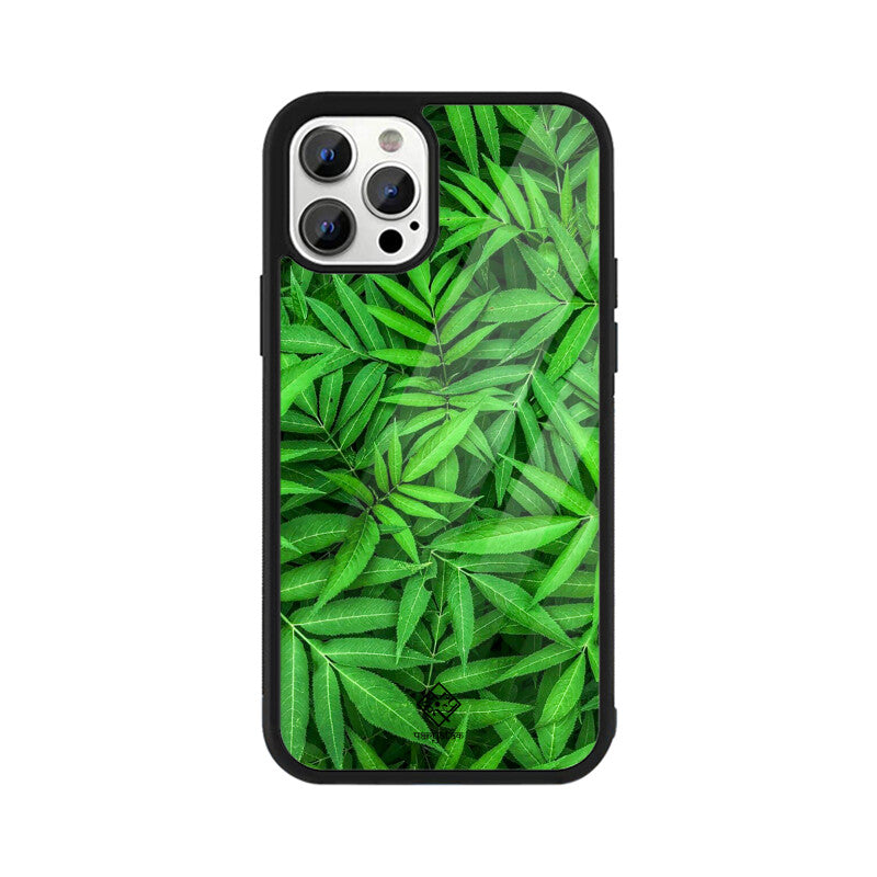 Evergreen Embrace