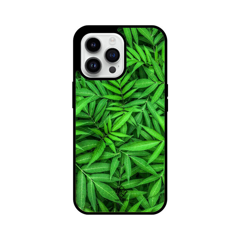 Evergreen Embrace
