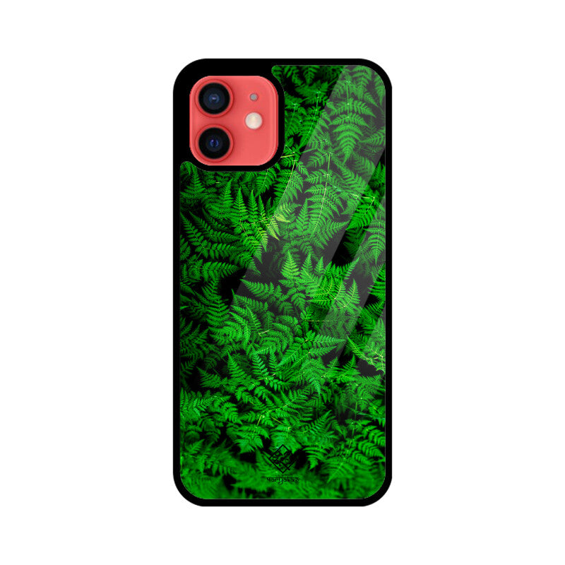 Fern Foliage