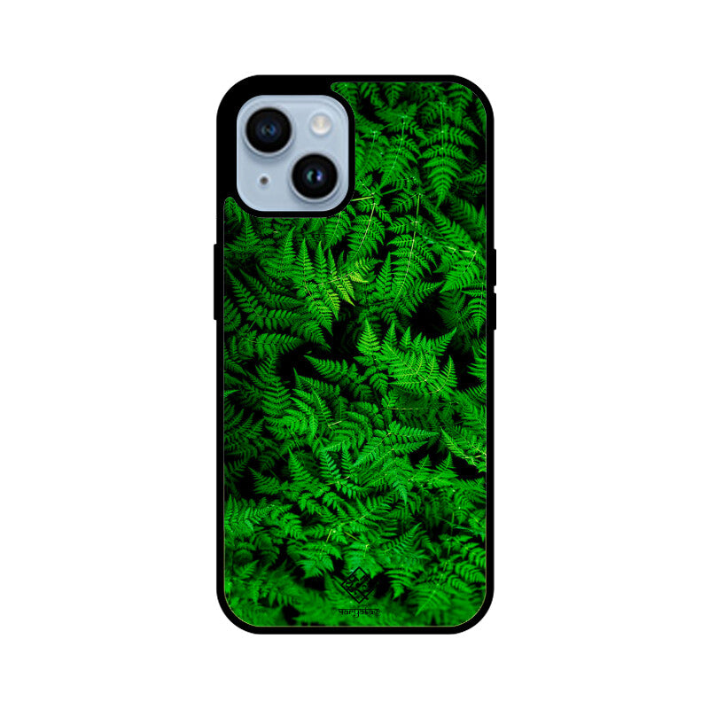 Fern Foliage