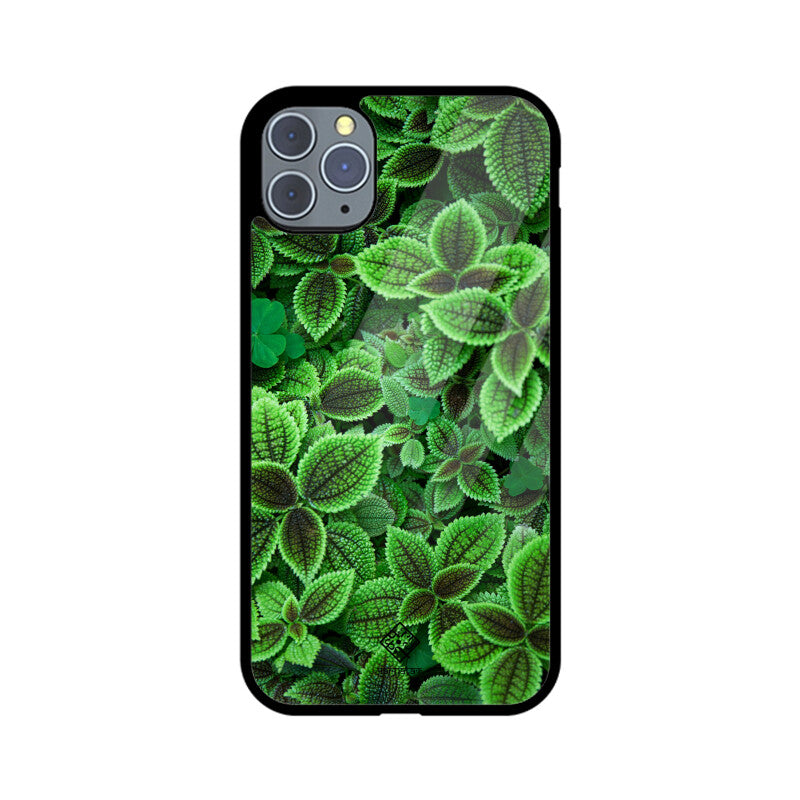 Minty Marvel