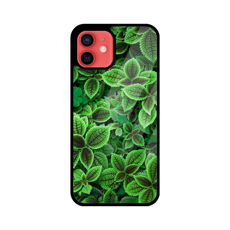 Minty Marvel