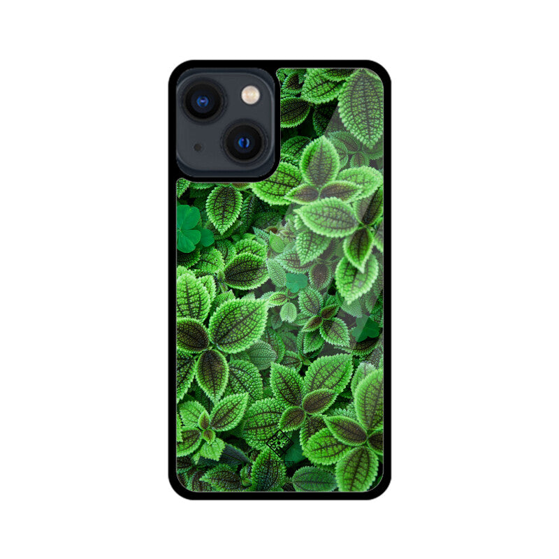 Minty Marvel