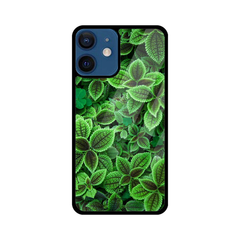 Minty Marvel