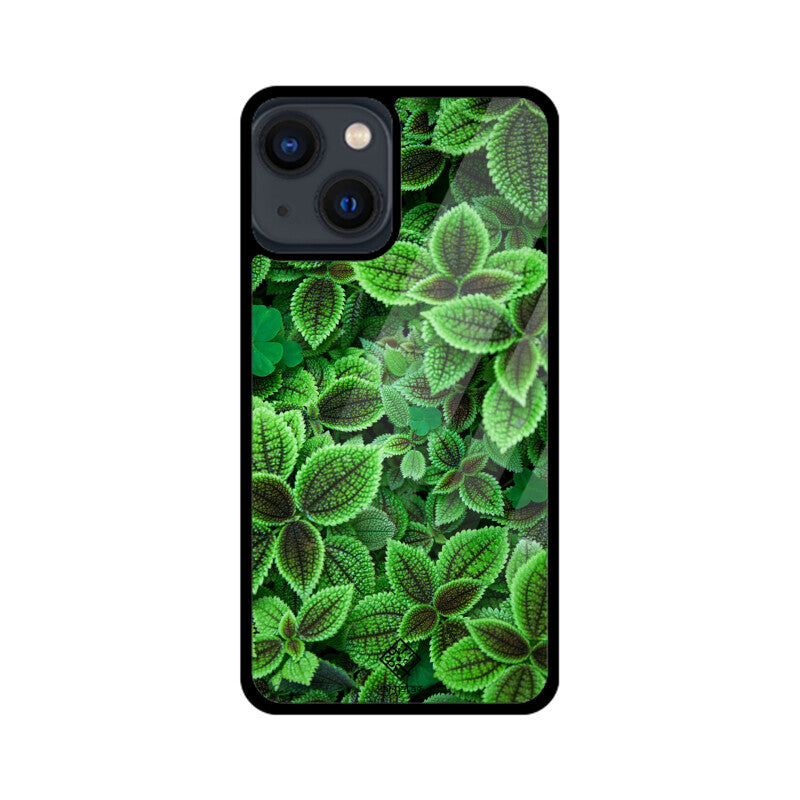 Minty Marvel