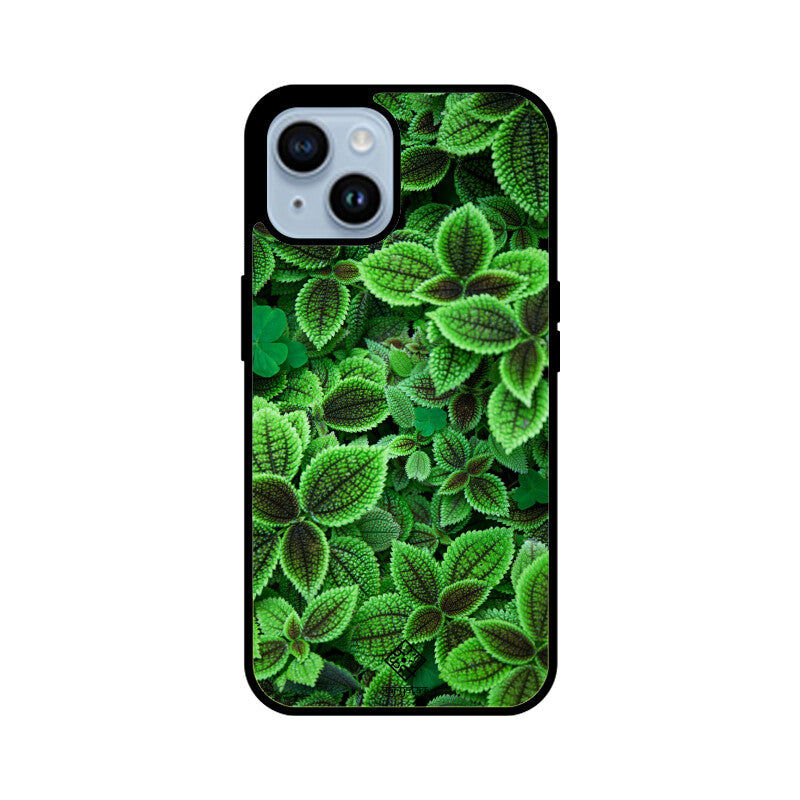 Minty Marvel