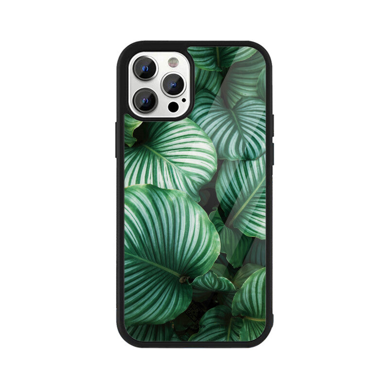 Leafy Glacier iPhone Case