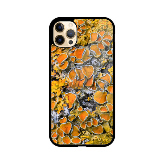 Sunny Shrooms iPhone Case