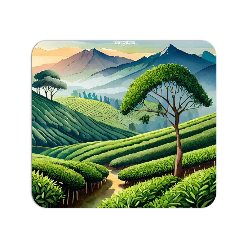 Front View - 5142728