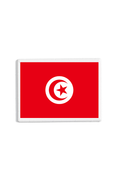 Tunisia Flag Patch White