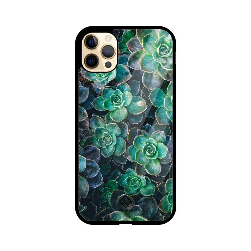 Succulent Spirit iPhone Case