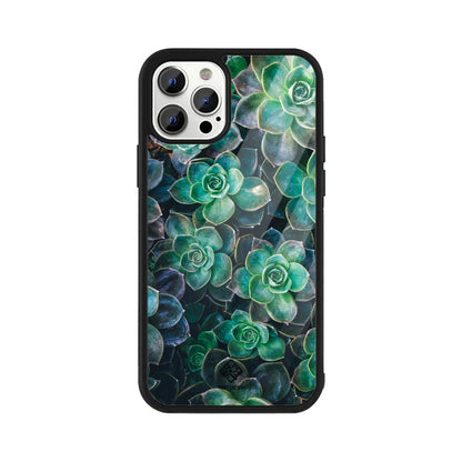 Succulent Spirit iPhone Case