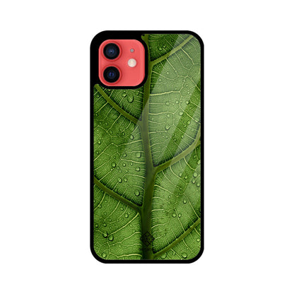 Dewy Delight iPhone Case