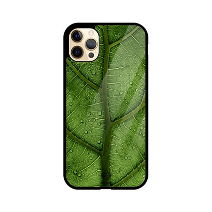 Dewy Delight iPhone Case