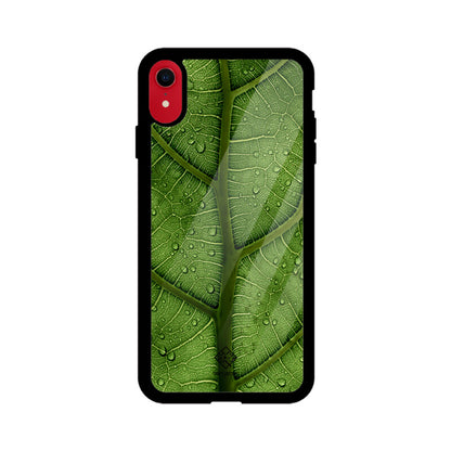 Dewy Delight iPhone Case