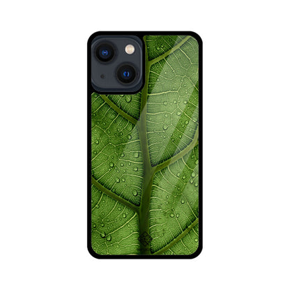 Dewy Delight iPhone Case