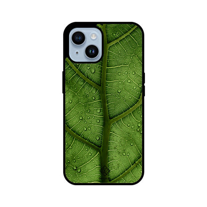 Dewy Delight iPhone Case