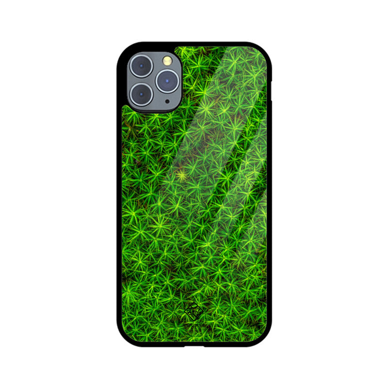 Leafy Layout iPhone Case