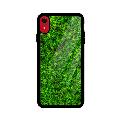 Leafy Layout iPhone Case