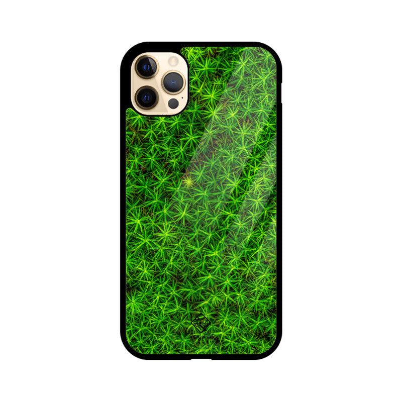 Leafy Layout iPhone Case