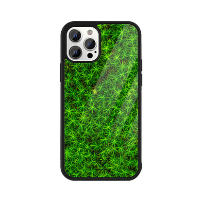 Leafy Layout iPhone Case