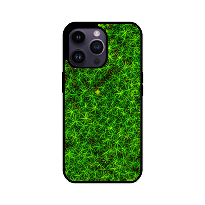 Leafy Layout iPhone Case
