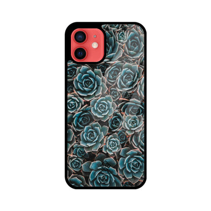 Succulent Serenity iPhone Case