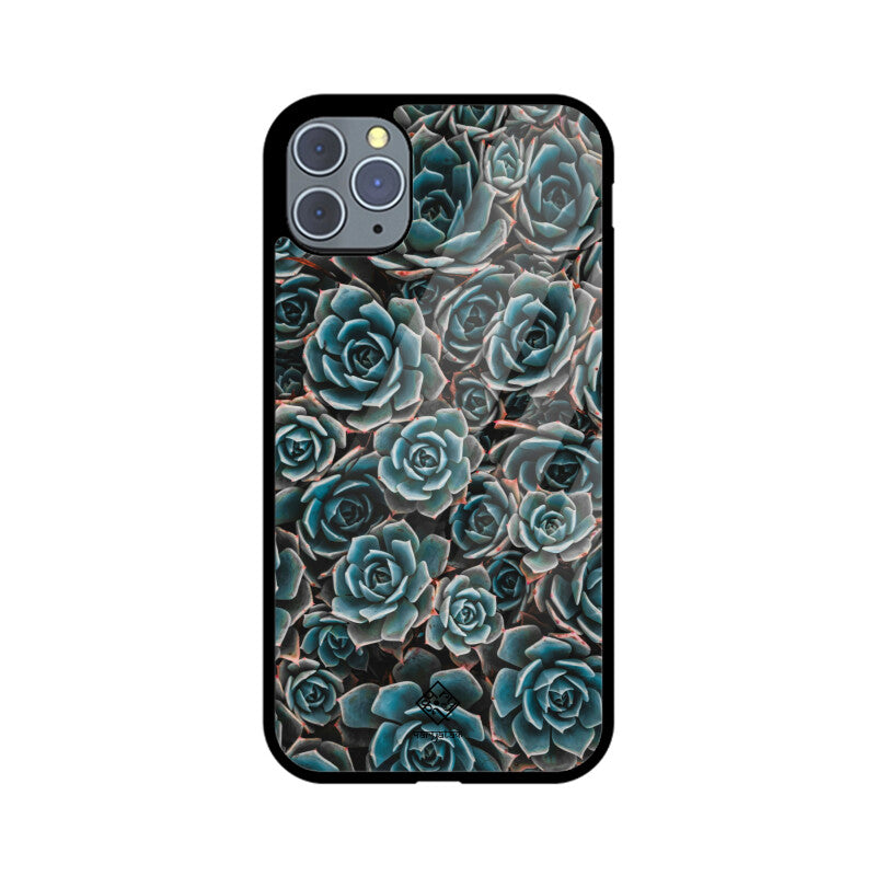 Succulent Serenity iPhone Case