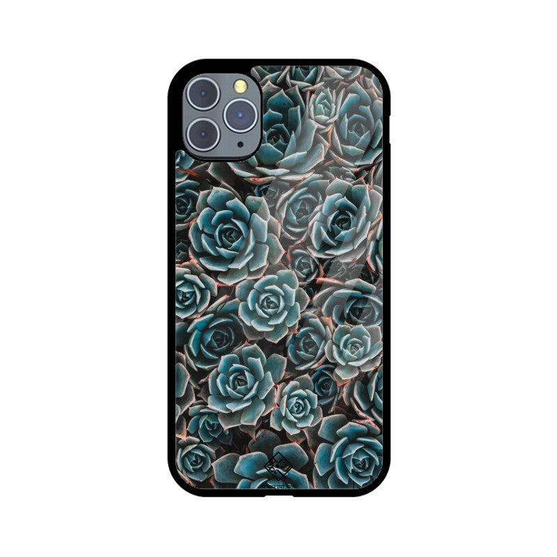 Succulent Serenity iPhone Case