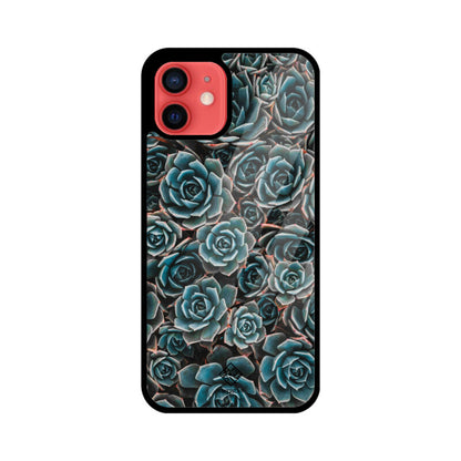 Succulent Serenity iPhone Case