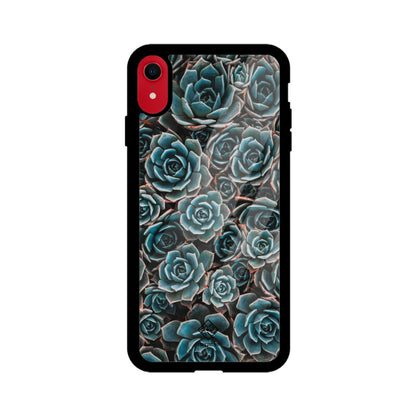 Succulent Serenity iPhone Case