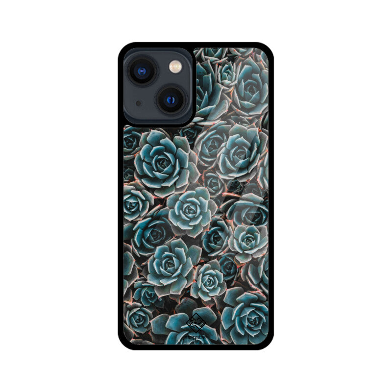 Succulent Serenity iPhone Case