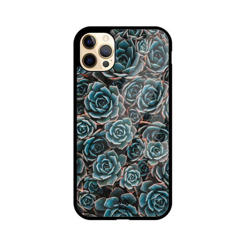 Succulent Serenity iPhone Case