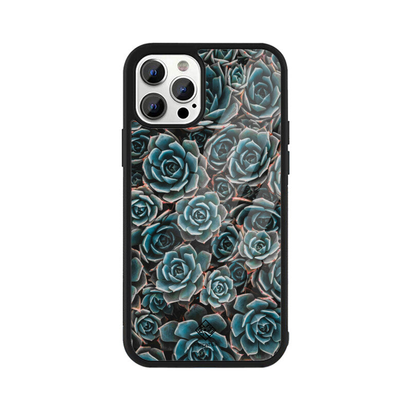 Succulent Serenity iPhone Case