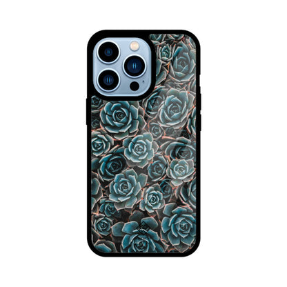 Succulent Serenity iPhone Case