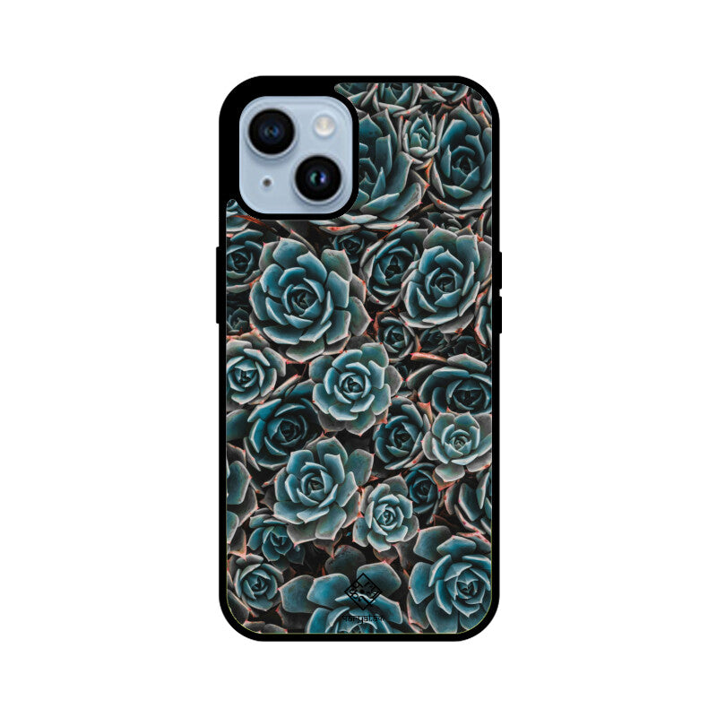 Succulent Serenity iPhone Case