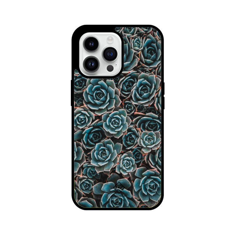 Succulent Serenity iPhone Case