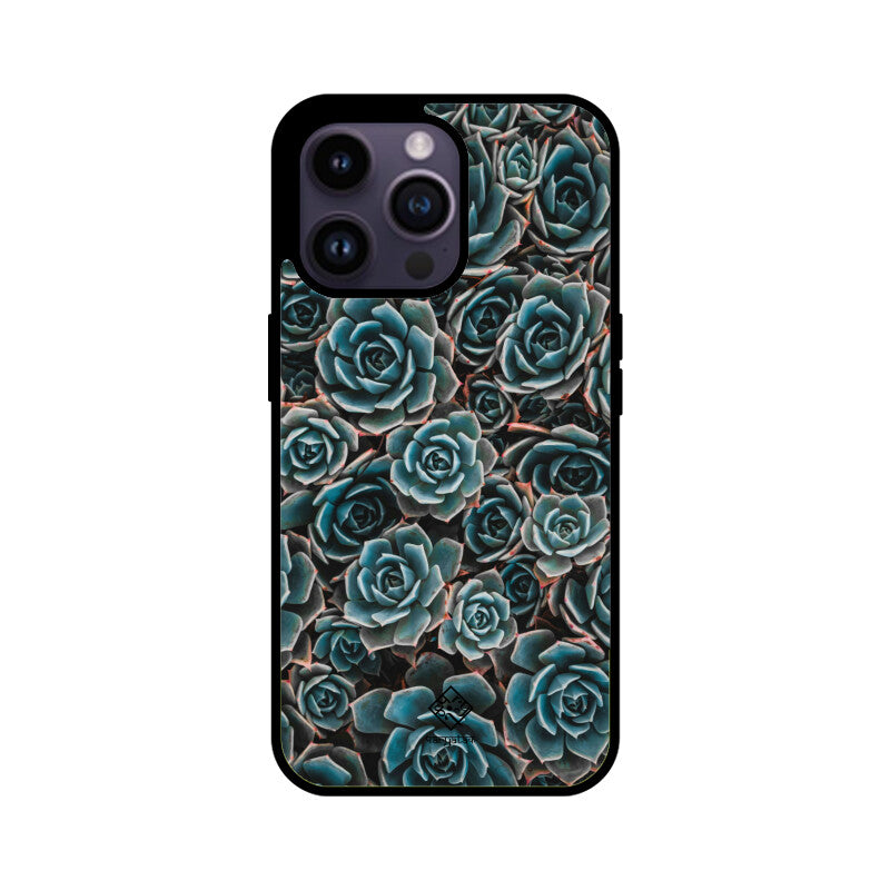 Succulent Serenity iPhone Case