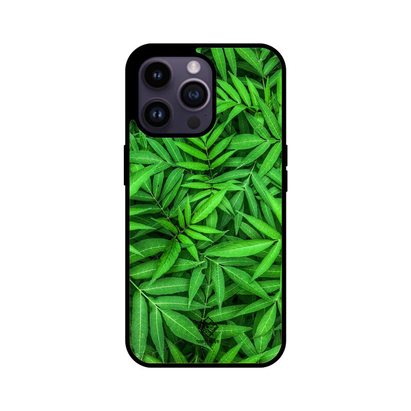 Evergreen Embrace